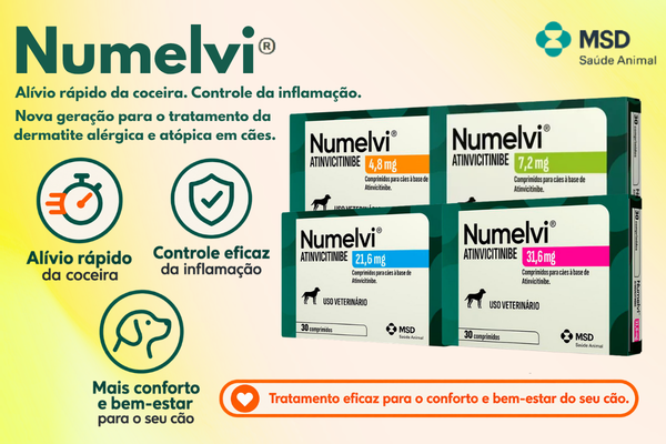 numelvi mobile